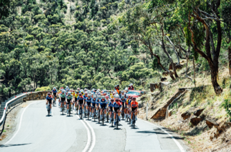 EXPLORE: Norwood to Campbelltown