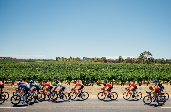 EXPLORE: Tanunda to Tanunda