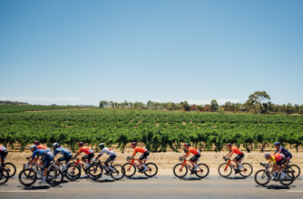 EXPLORE: Tanunda to Tanunda