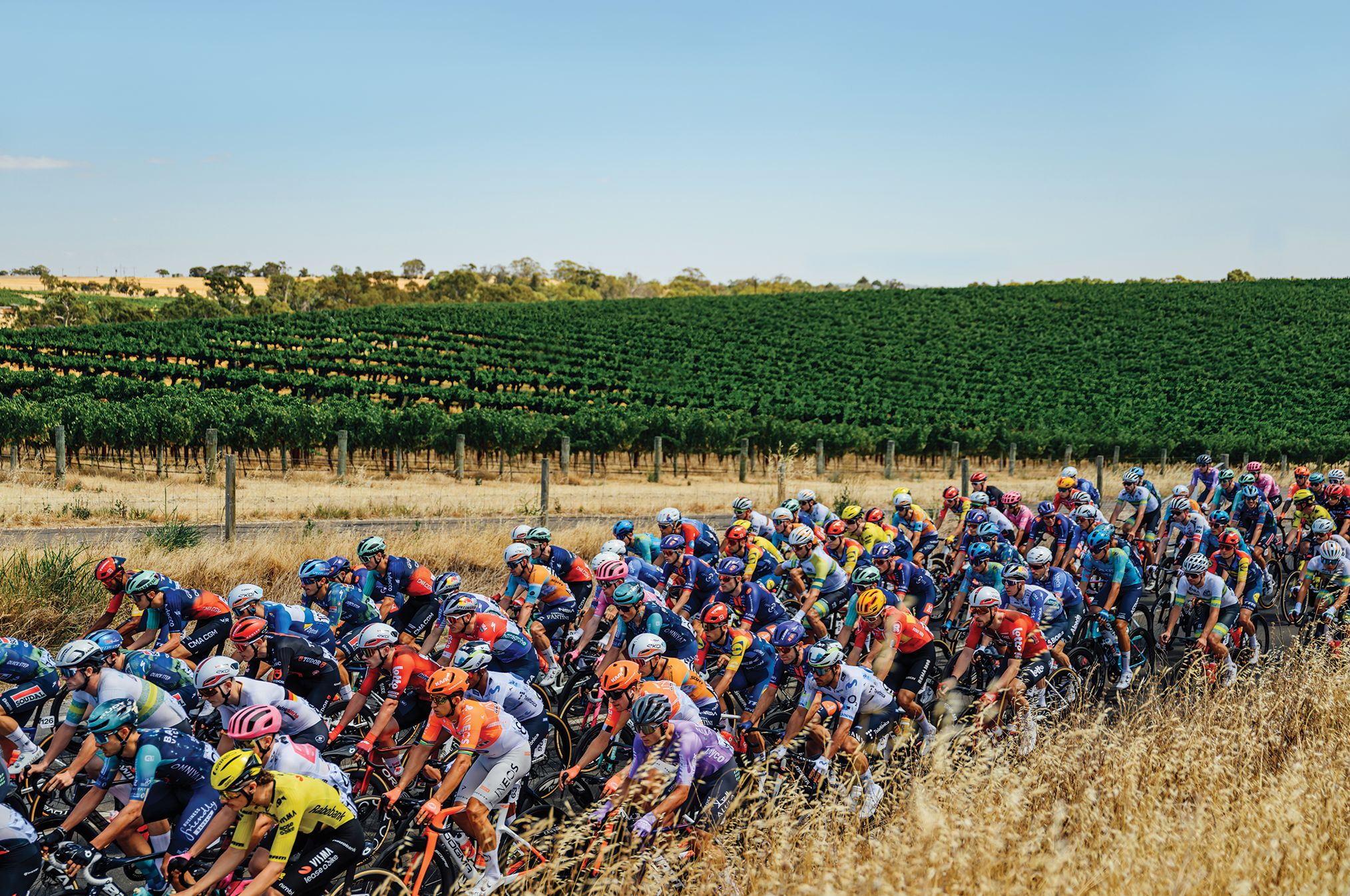 A Message From The Race Director July 2027 2028X1347px