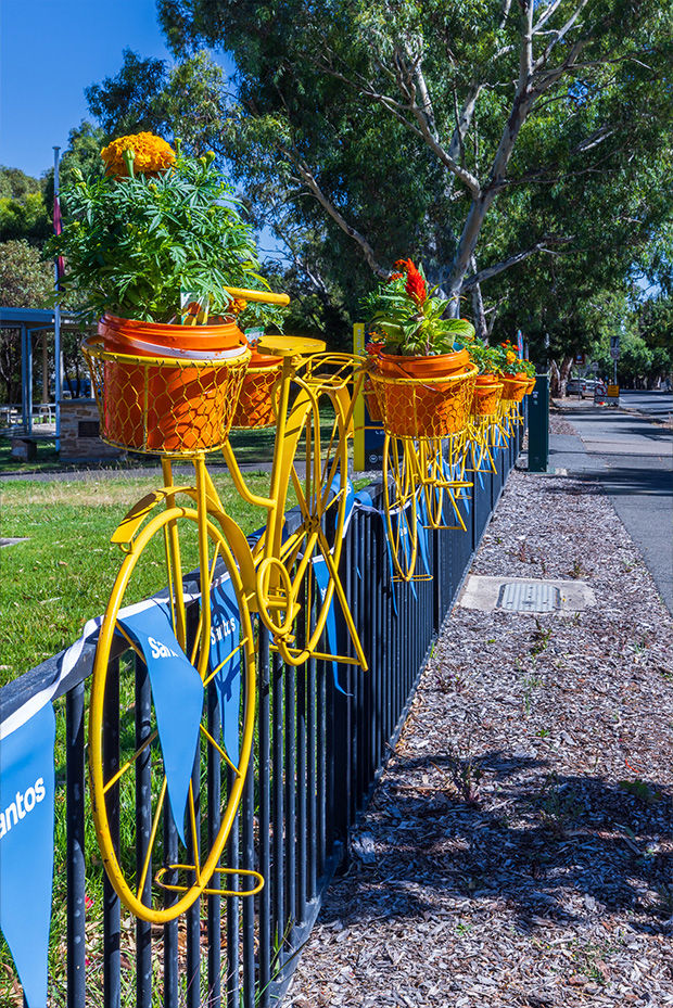 BDT Willunga Landing Page