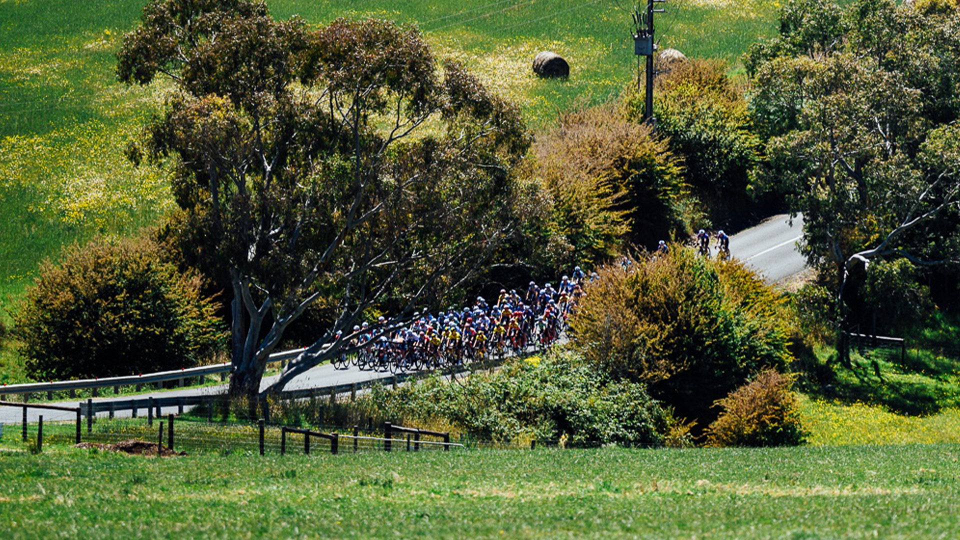 Health Partners Women's STAGE 2