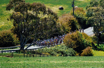 Health Partners Women's STAGE 2