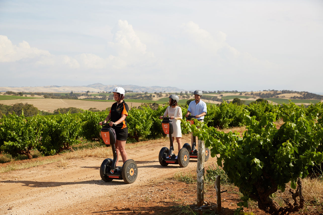 Segway Tours at Seppeltsfield