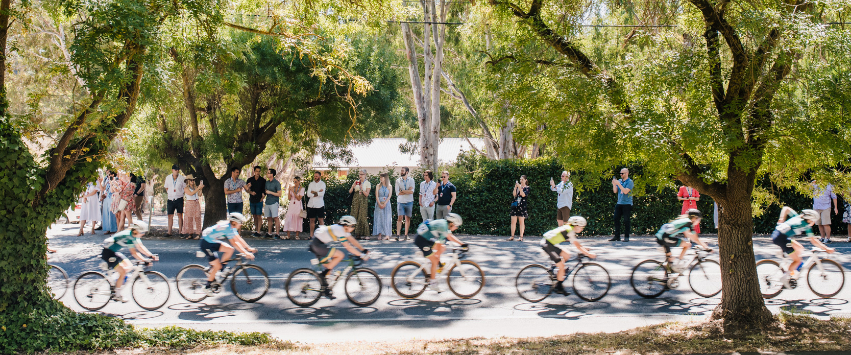 santos festival of cycling