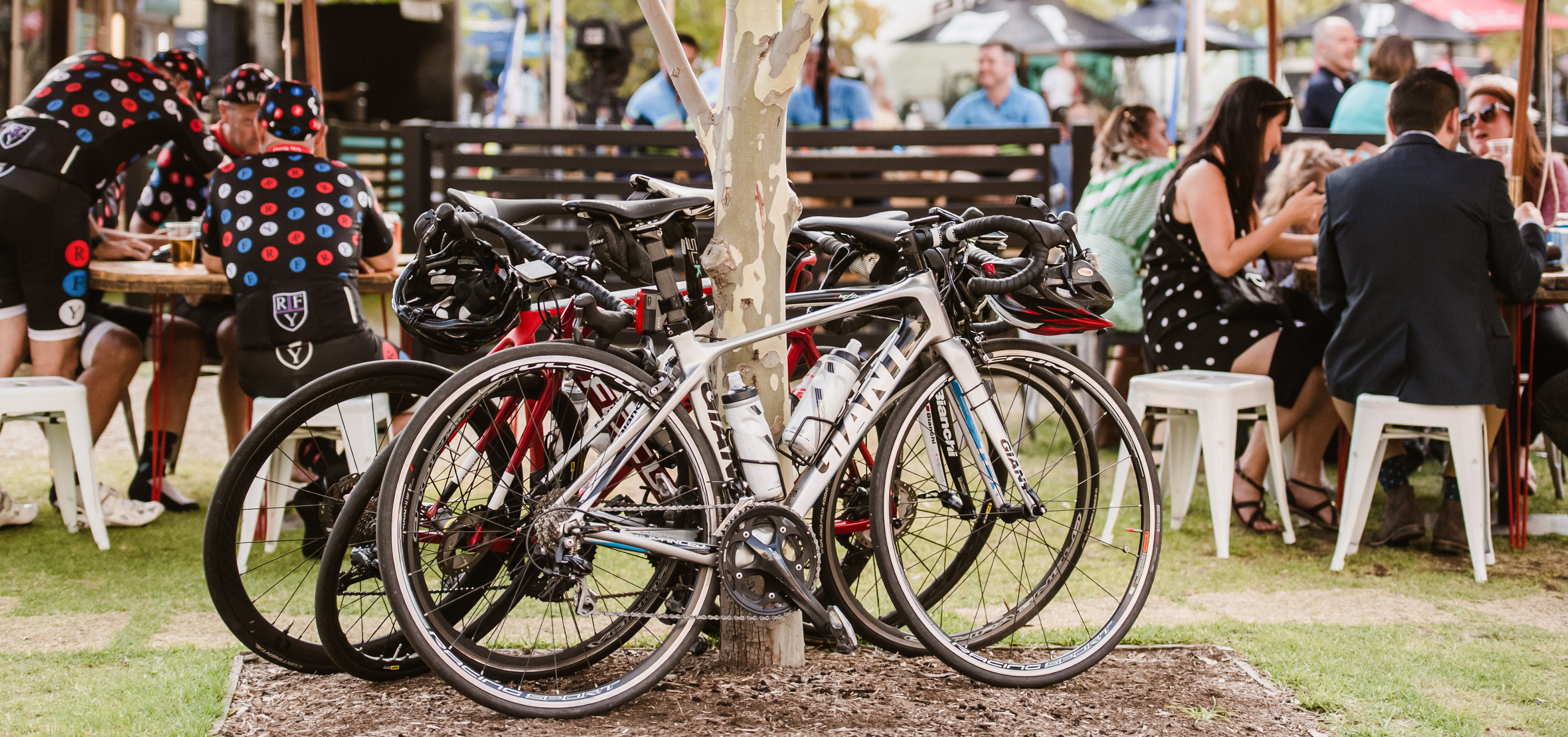 Your 9-day guide to the Santos Festival of Cycling Tour Down Under