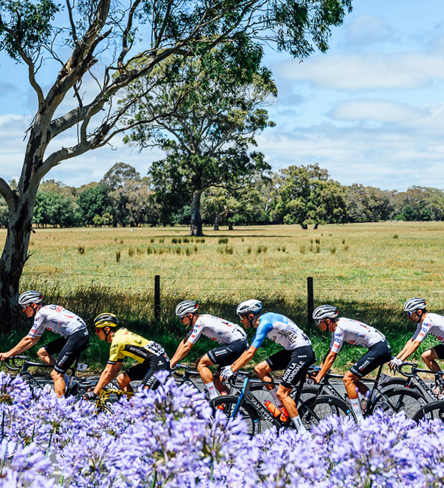 Full Start List Announced for 2025 Santos Tour Down Under