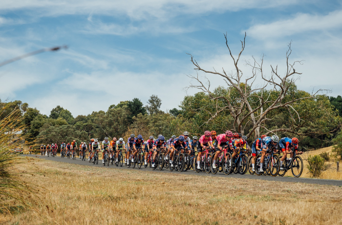 EXPLORE: Magill to Paracombe