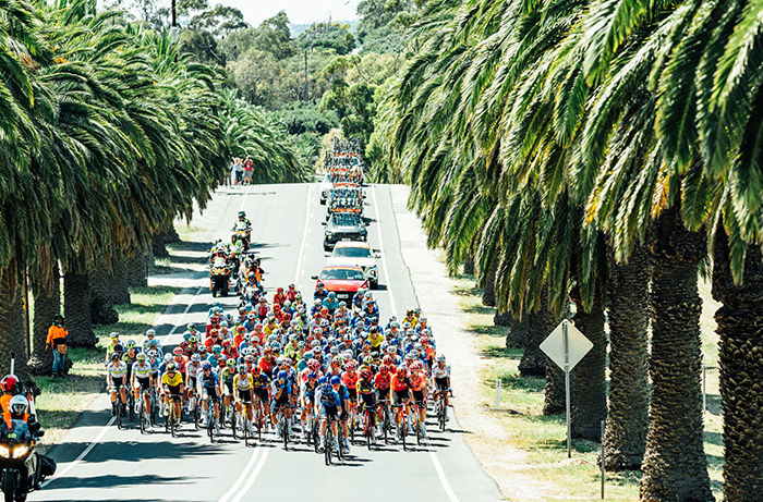 tour down under stage 4 profile