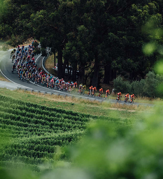 Your guide to the 2023 Santos Tour Down Under Men’s Stages 