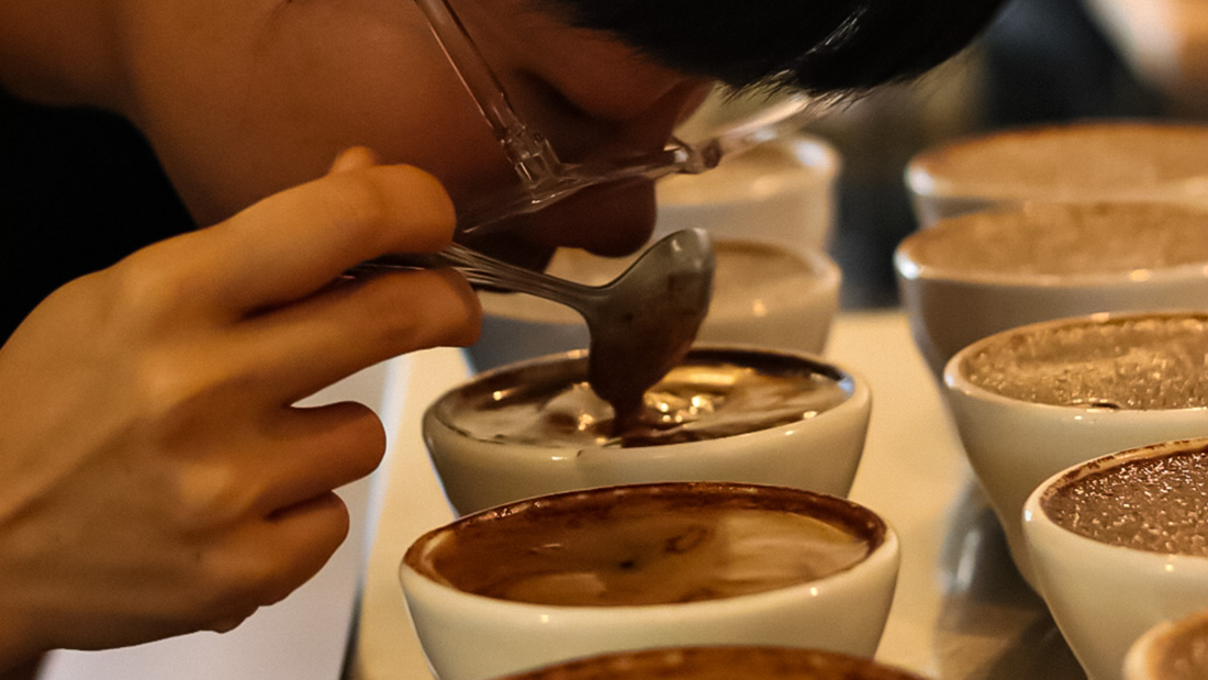 Guided Coffee Cupping Session: From Commodity to Specialty, Event...