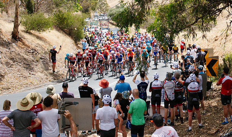 Spectator Bus Transfers: Be Safe Be Seen Stage 3