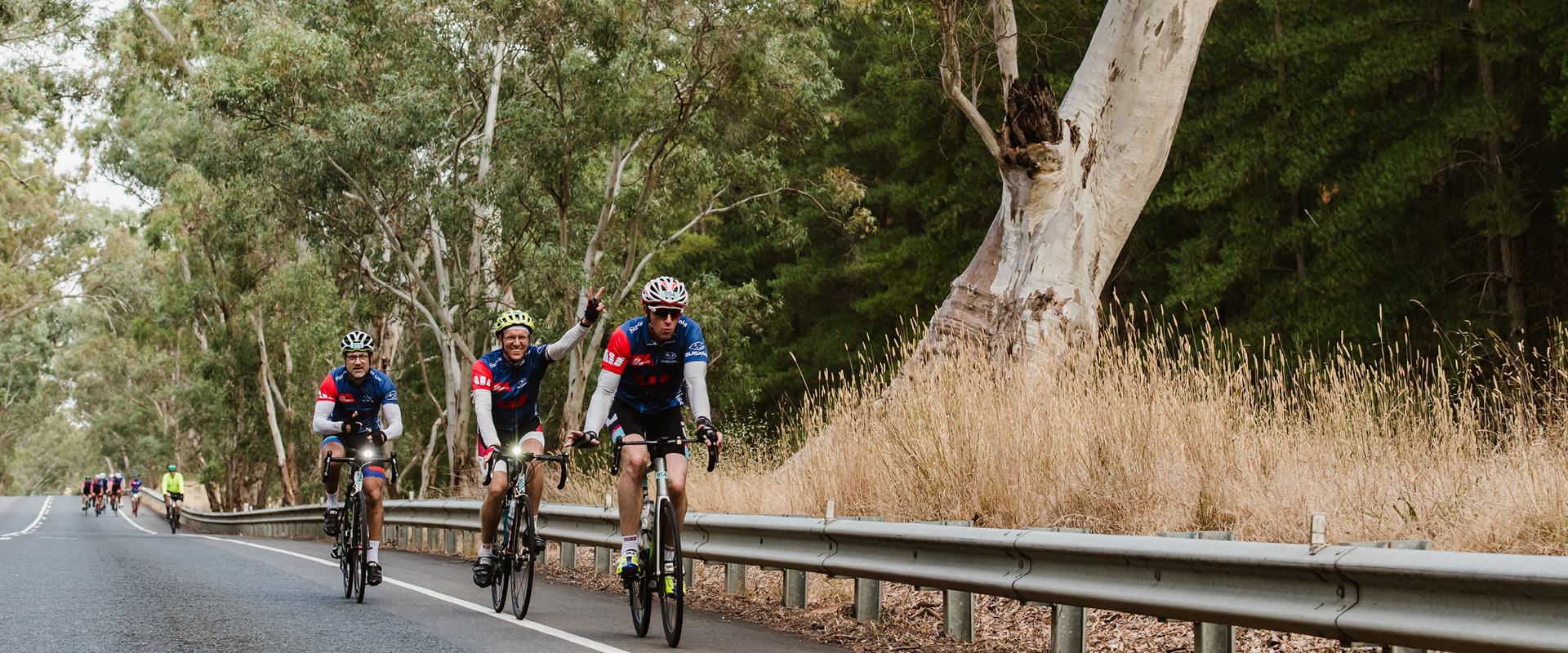 COMMITTED TO THE ENVIRONMENT