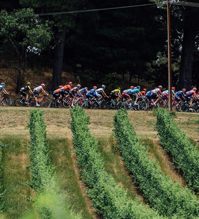 Events along the race route