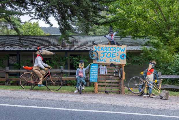 22 January Santos Best Dressed Home Page Element