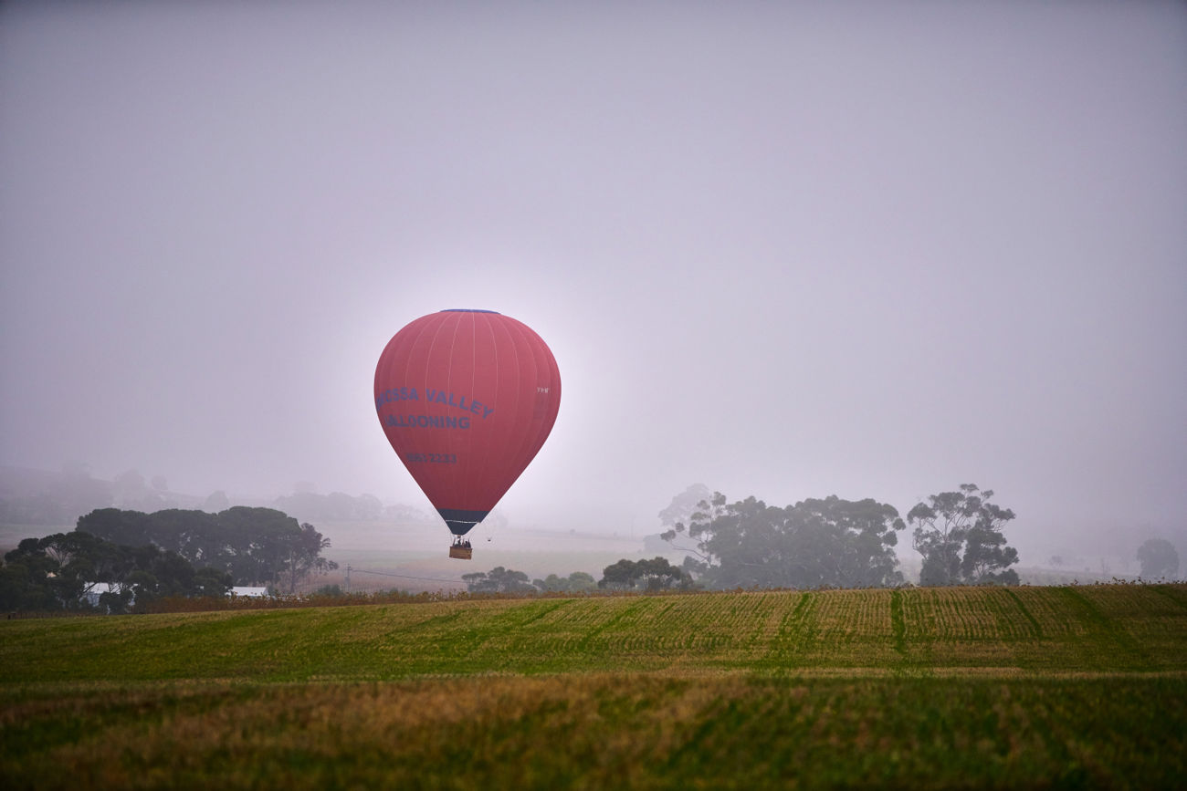 Hot air ballooning in the Barossa