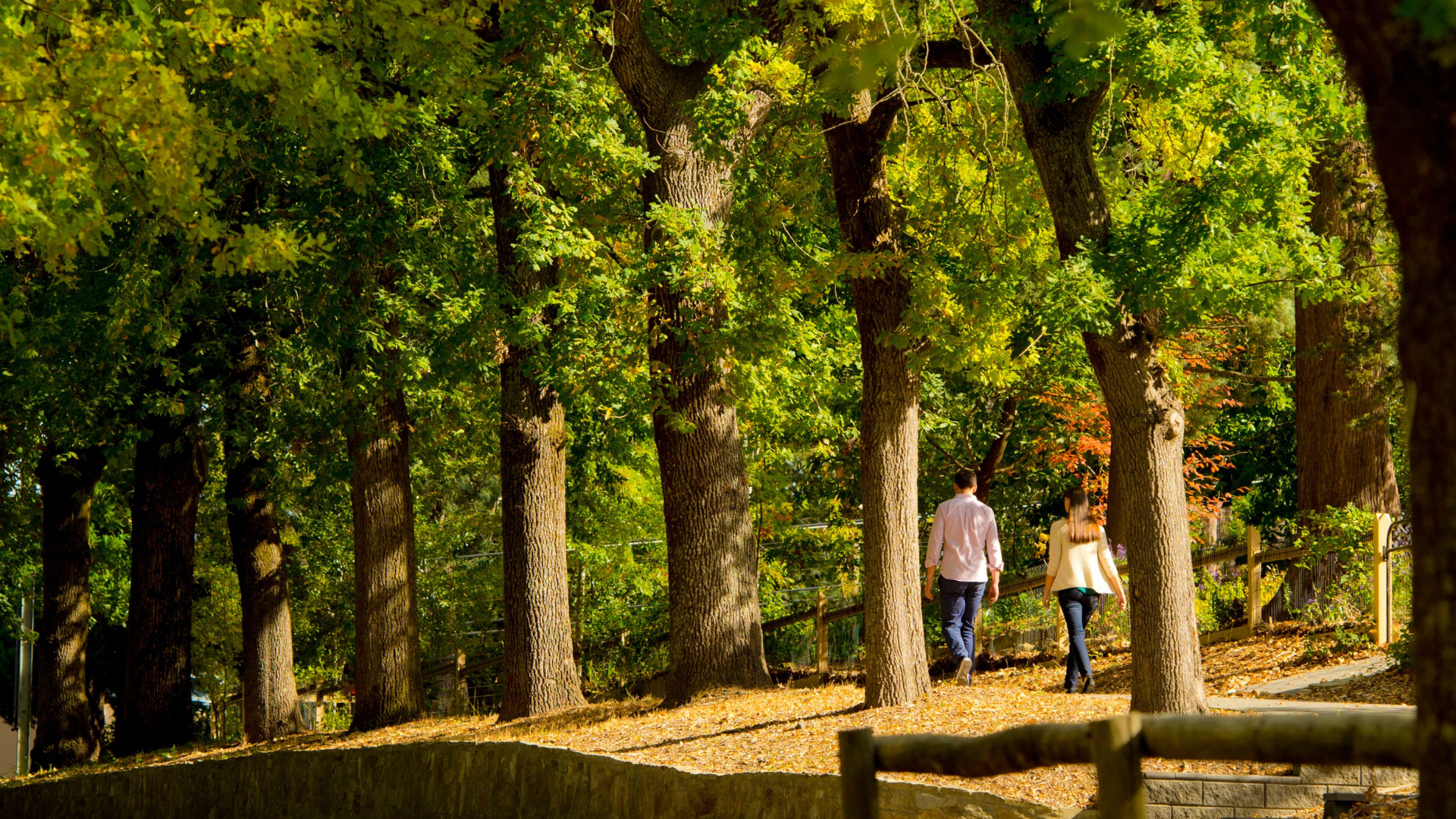 Explore Adelaide Hills 1920X1080