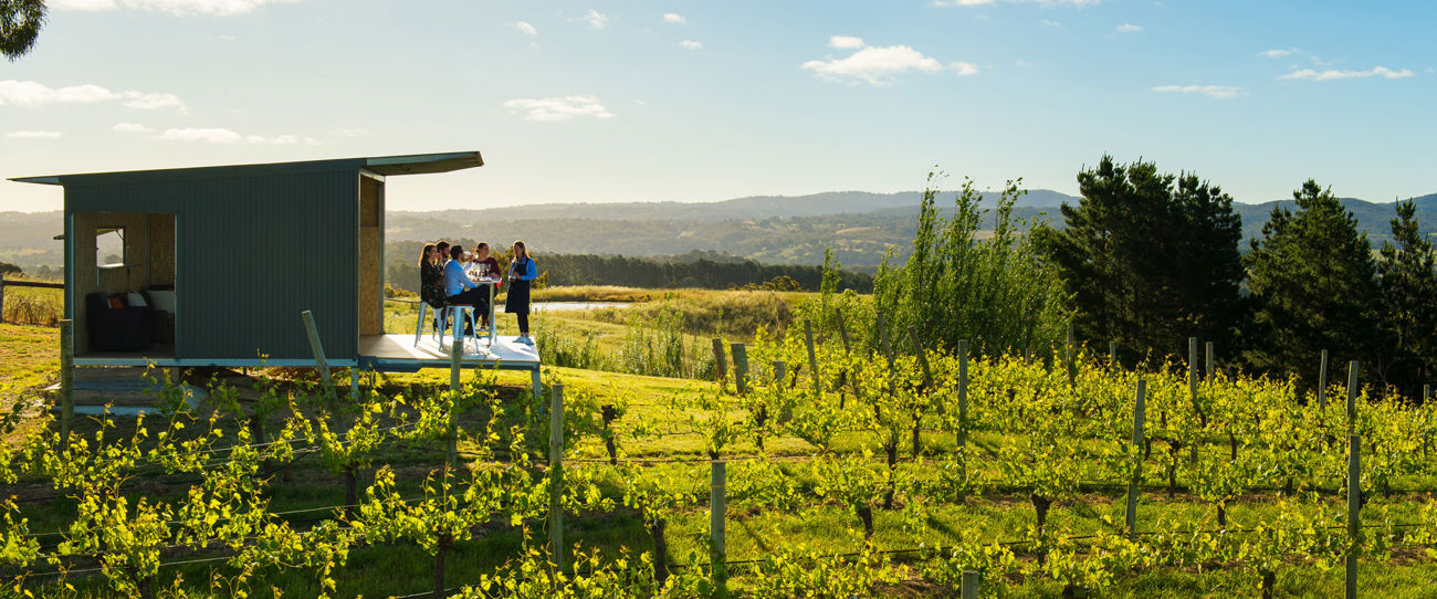 The Lane Vineyard