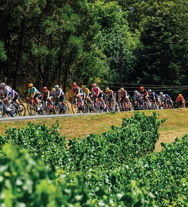 Elite Global Racing Starts Here