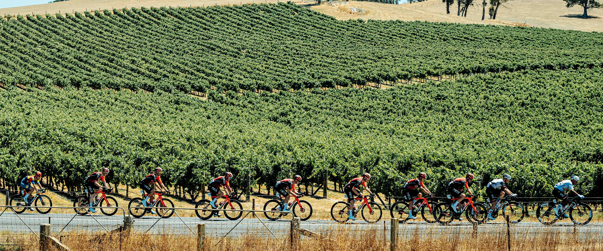 City of Adelaide Tour Village