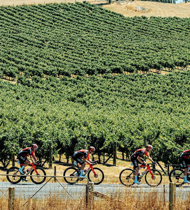 The Best Free Things to Do at the City of Adelaide Tour Village 