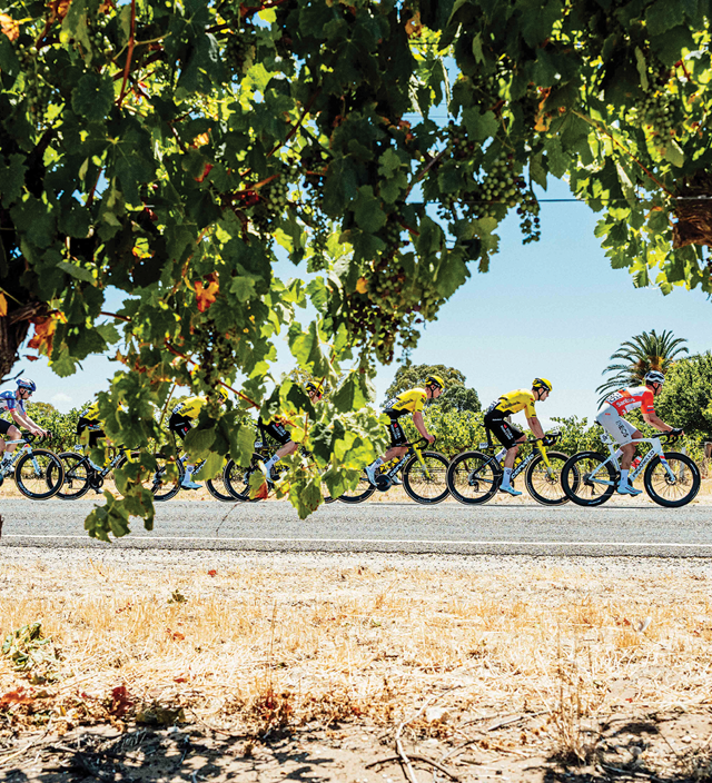 Santos Tour Down Under 2027