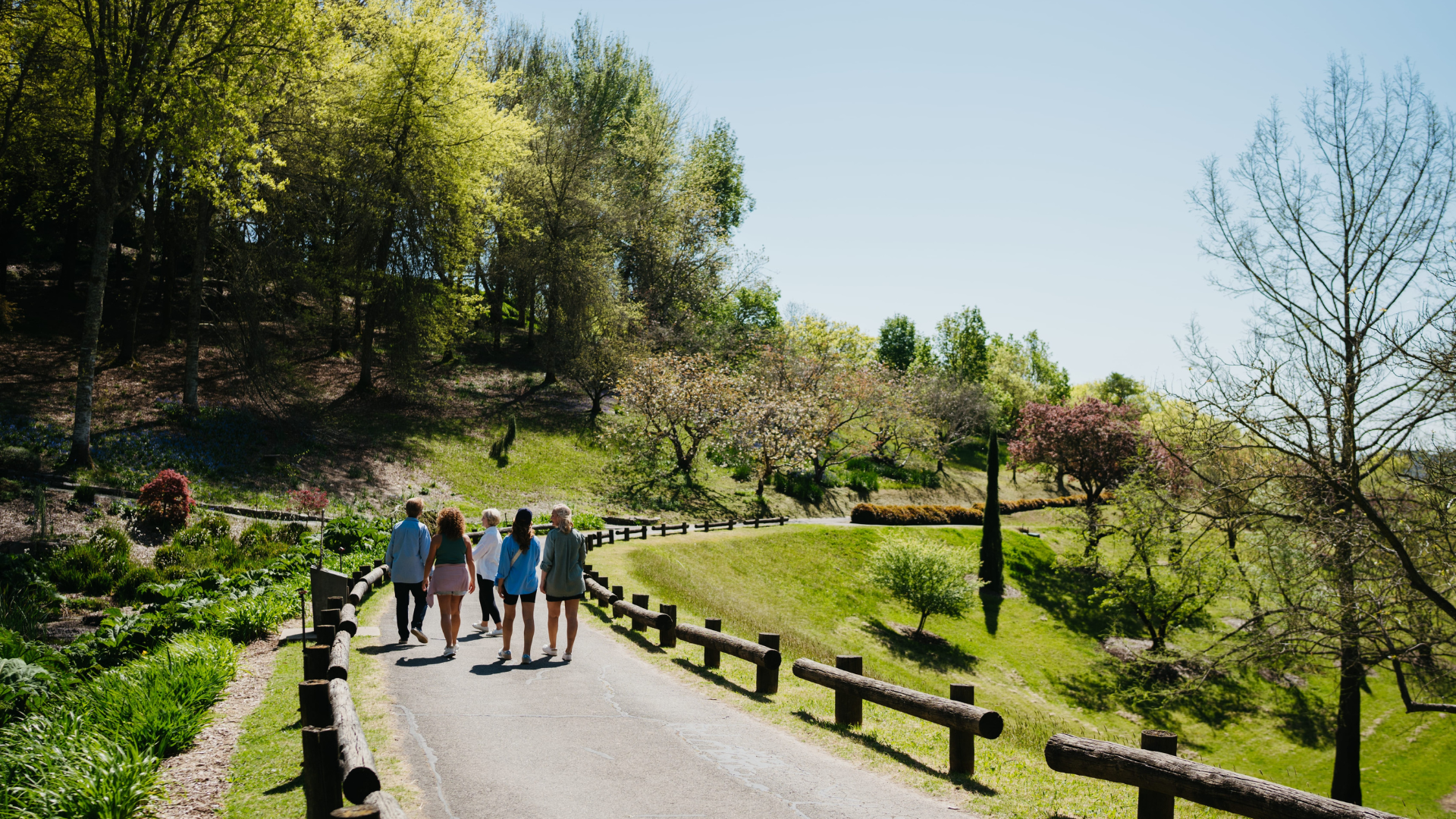Explore SA Mt Lofty19020x1080