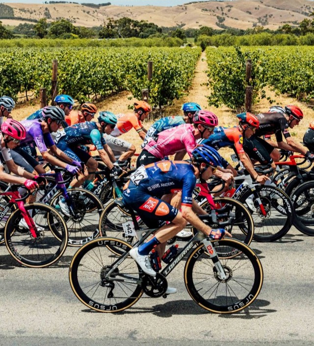 Elite Global Racing Starts Here