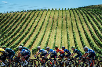 Health Partners Men's STAGE 2