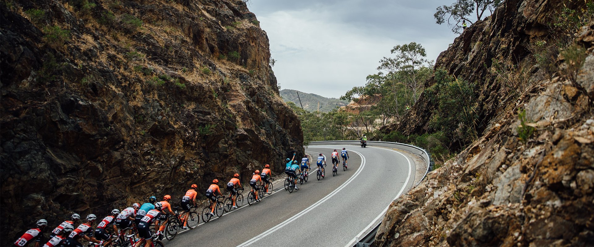santos festival of cycling