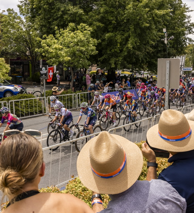 The ultimate TDU Christmas gift guide