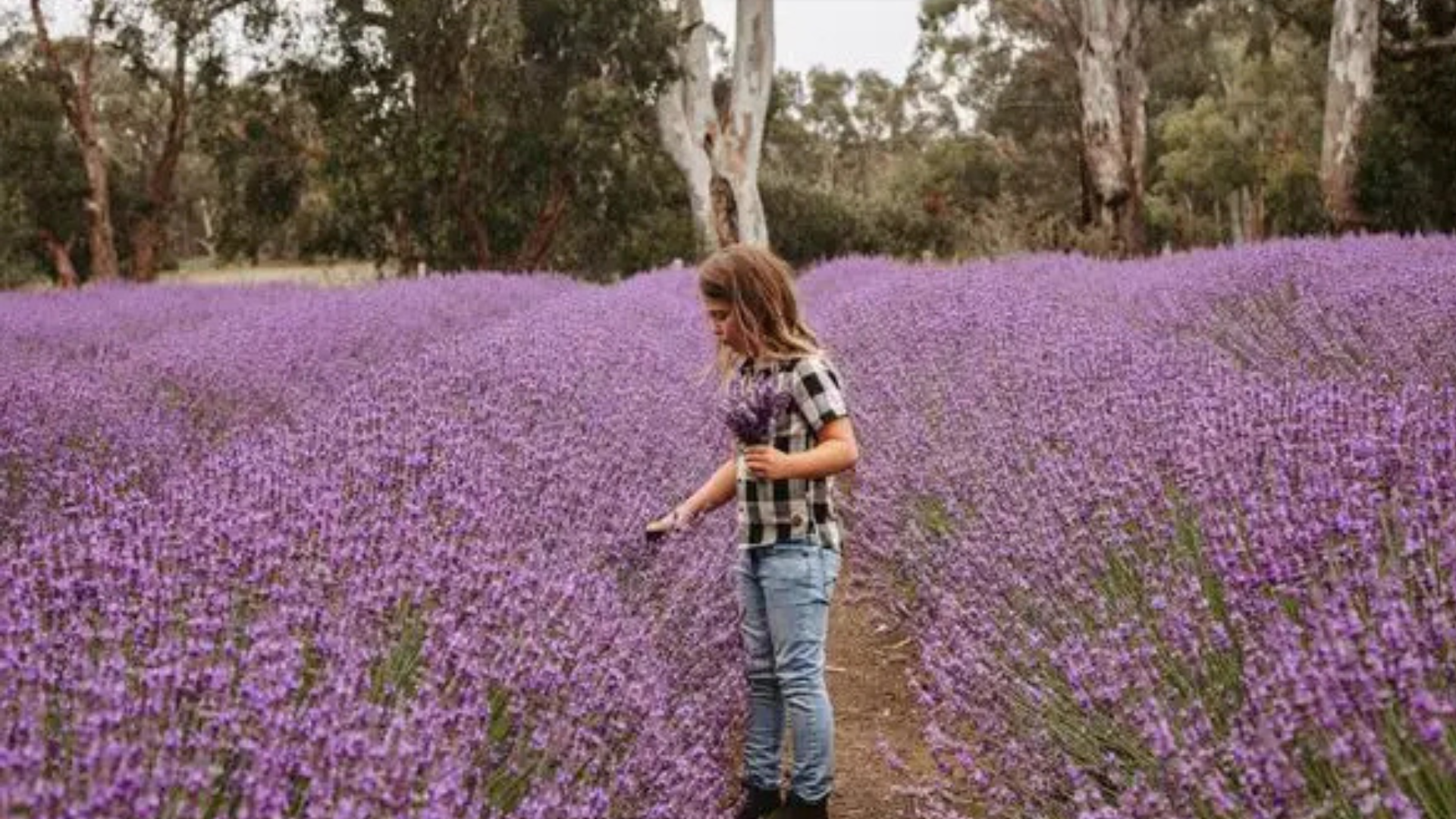 Explore Adl Hills 1920X1080 (1)