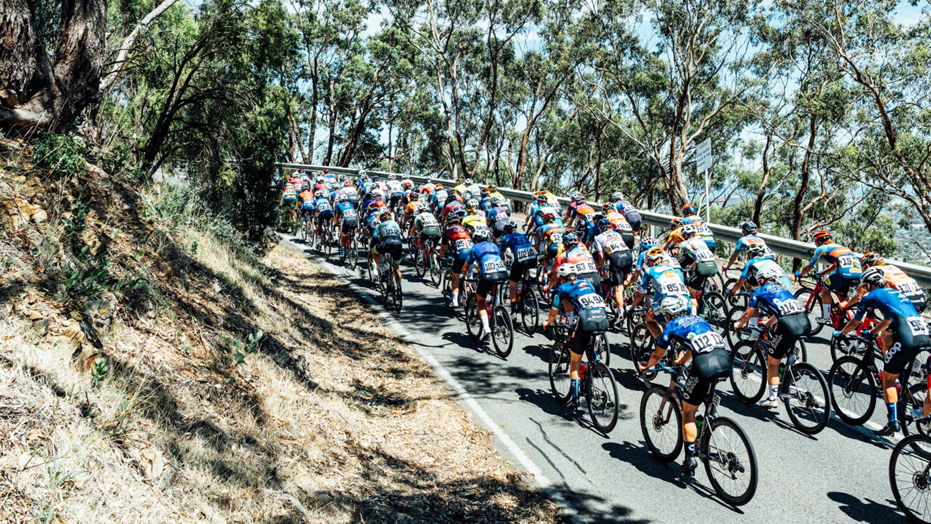 Guide To The Women's Race 2025 1920X1080