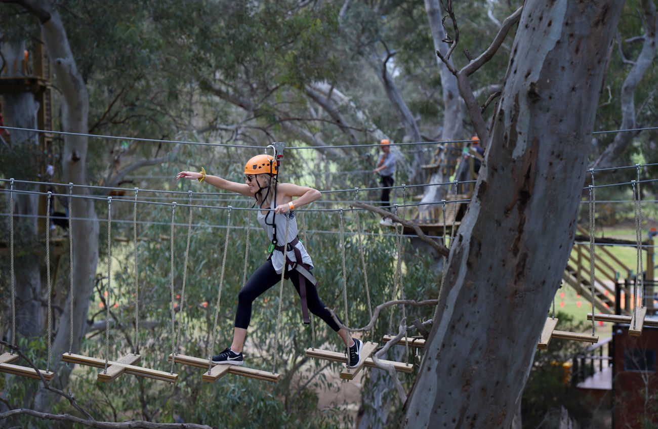 Adelaide TreeClimb
