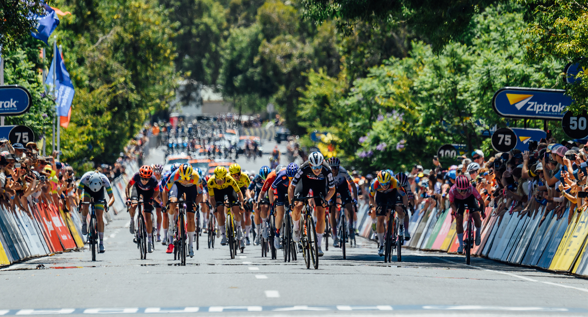 TDU27 Broadcast Announcement 2000Px