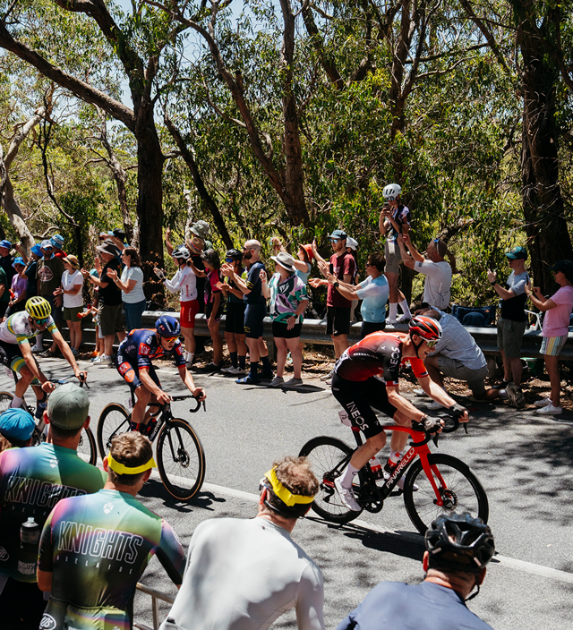 ELITE GLOBAL RACING STARTS HERE