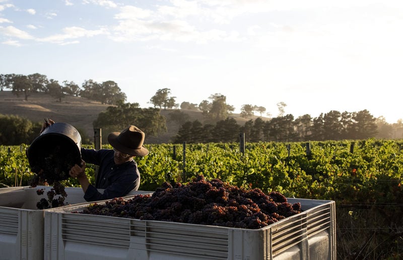 Five Of The Best Wines From South Australia Blog Tour Down Under