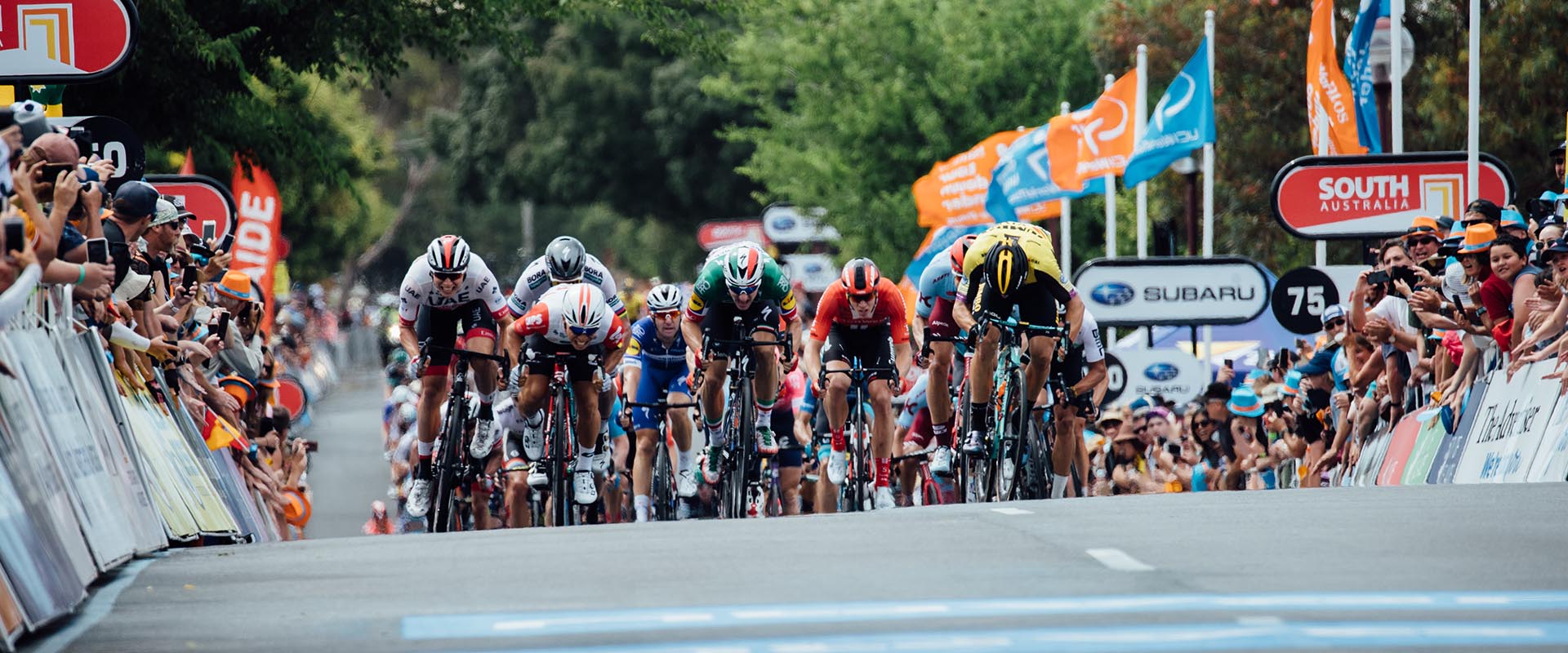 festival of cycling teams