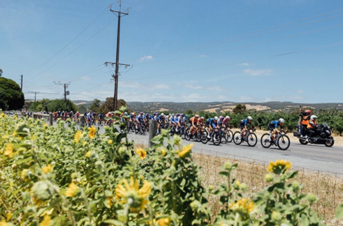 tour down under 2024 stages