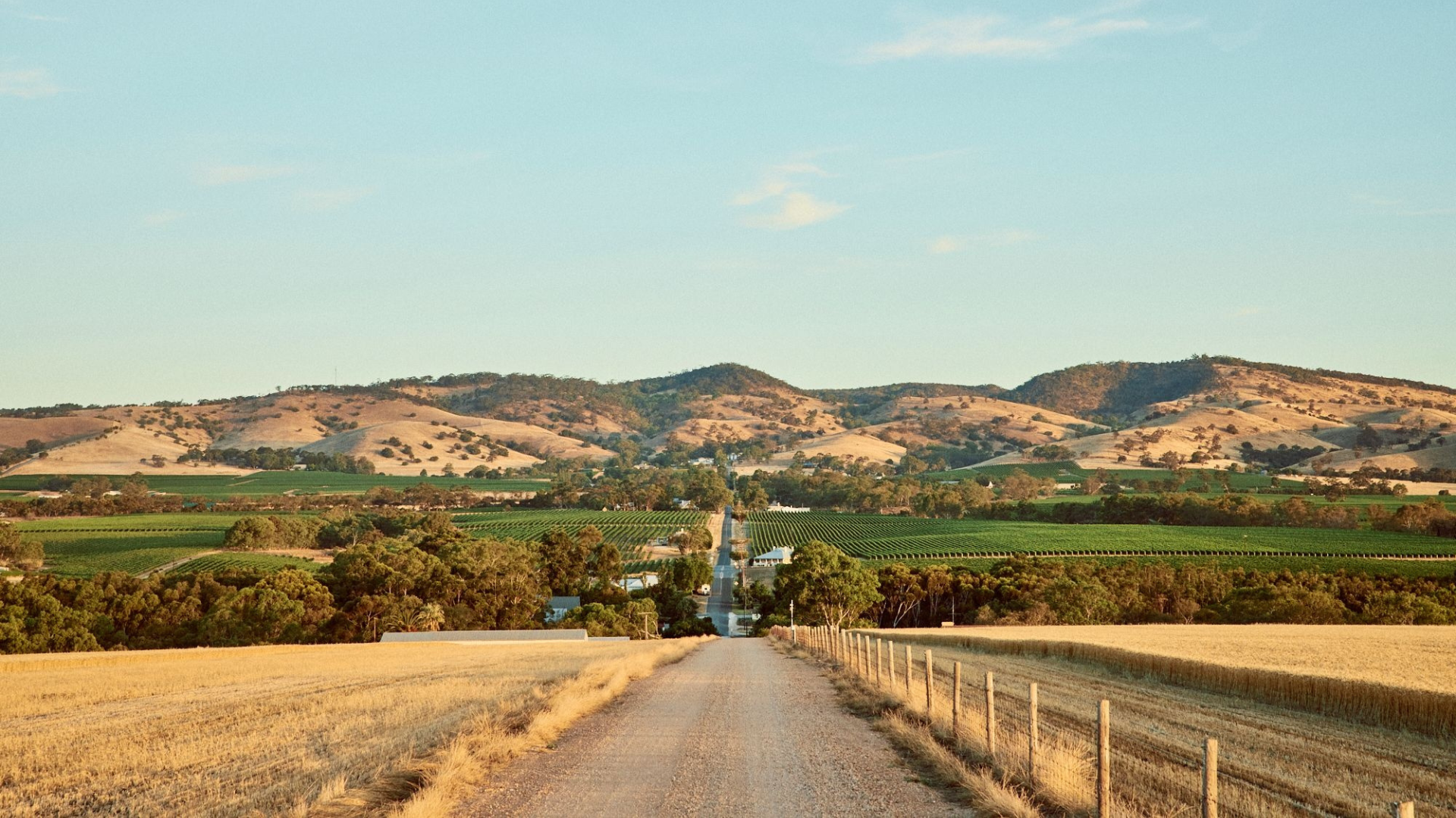 Explore More Barossa 1920X1080